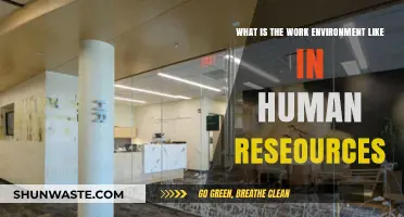 Exploring the Dynamic and Collaborative Work Environment in Human Resources