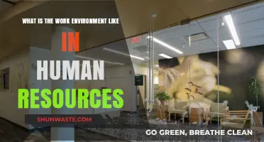 Exploring the Collaborative and Dynamic Work Environment in Human Resources