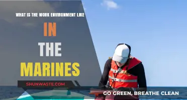 Inside the Marines: Understanding the Rigorous Work Environment and Culture
