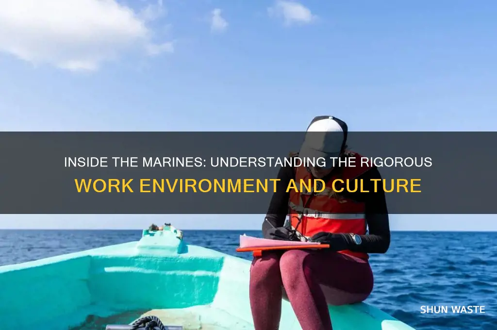 what is the work environment like in the marines