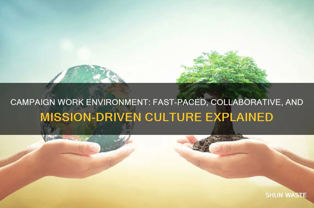 what is the work environment like on campaigns