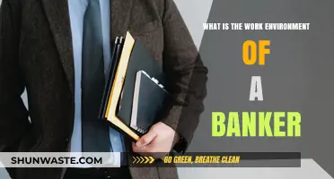 Exploring the Dynamic Work Environment of a Banker: Insights and Expectations