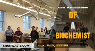 Exploring the Dynamic Work Environment of a Biochemist: Labs, Research, and Beyond