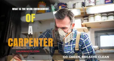 Exploring the Daily Work Environment of a Carpenter: Tools, Spaces, and Challenges