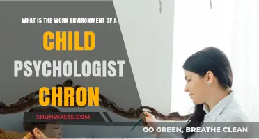 Exploring the Daily Work Environment of a Child Psychologist