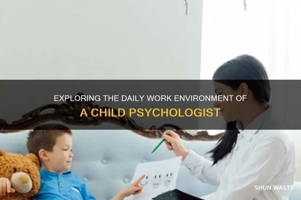 what is the work environment of a child psychologist chron