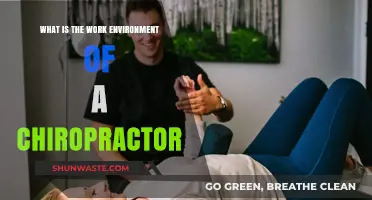 Exploring the Chiropractor's Work Environment: Clinic, Patients, and Wellness