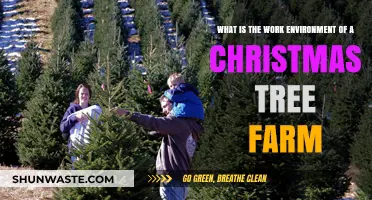 Festive Farming: Exploring the Unique Work Environment of Christmas Tree Farms