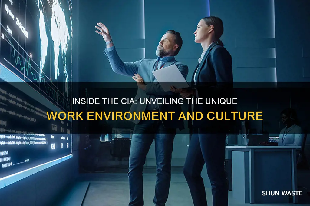 what is the work environment of a cia