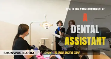 Exploring the Daily Work Environment of a Dental Assistant