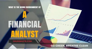 Exploring the Dynamic Work Environment of a Financial Analyst