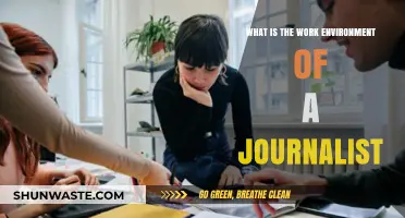 Exploring the Dynamic Work Environment of a Modern Journalist