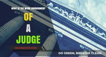 Judicial Work Environment: Insights into a Judge's Daily Professional Life