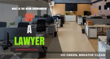 Exploring the Demanding and Dynamic Work Environment of Lawyers