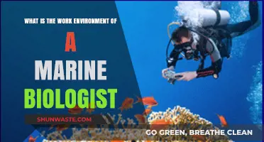 Exploring the Marine Biologist's Workplace: From Ocean Depths to Labs