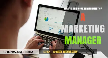 Exploring the Dynamic Work Environment of a Marketing Manager