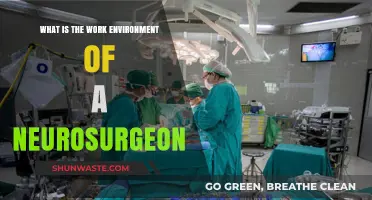 Neurosurgeon Work Environment: High-Pressure, Collaborative, and Life-Saving Settings