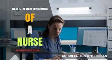 Exploring the Dynamic Work Environment of Nurses: Challenges and Rewards