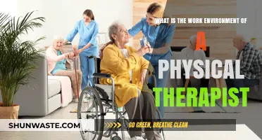 Exploring the Dynamic Work Environment of a Physical Therapist