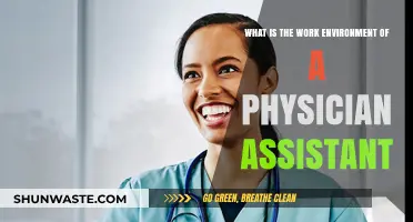Exploring the Dynamic Work Environment of a Physician Assistant