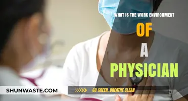 Exploring the Dynamic Work Environment of a Physician: Challenges and Rewards