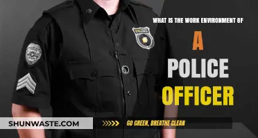 Inside the Demanding and Dynamic Work Environment of Police Officers