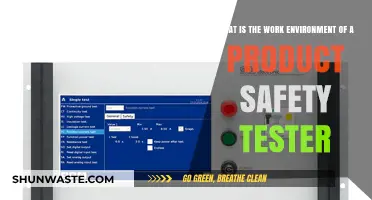 Exploring the Daily Work Environment of a Product Safety Tester
