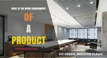 Exploring the Product Work Environment: Culture, Tools, and Dynamics