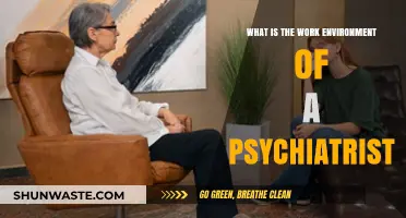 Exploring the Psychiatrist's Work Environment: Settings, Challenges, and Rewards