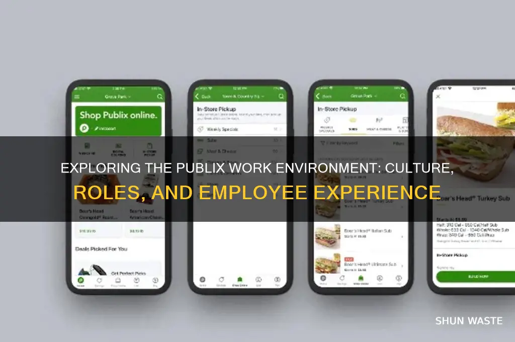 what is the work environment of a publix worker
