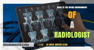 Exploring the Daily Work Environment of a Radiologist: Insights and Details