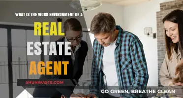 Exploring the Dynamic Work Environment of a Real Estate Agent