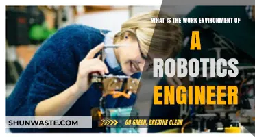 Exploring the Dynamic Work Environment of Robotics Engineers