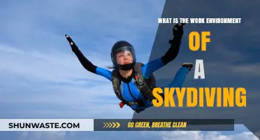 Skydiving Work Environment: Thrills, Teamwork, and Safety in the Skies