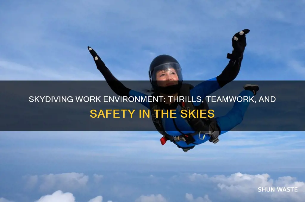 what is the work environment of a skydiving