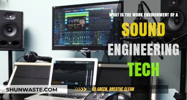 Exploring the Dynamic Work Environment of a Sound Engineering Tech