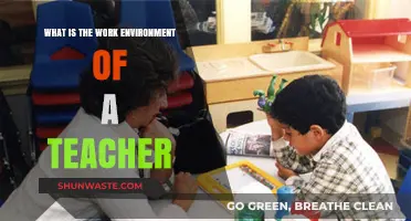 Exploring the Dynamic and Rewarding Work Environment of Teachers