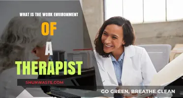 Exploring the Therapist's Work Environment: Insights, Challenges, and Rewards