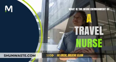 Exploring the Dynamic Work Environment of a Travel Nurse