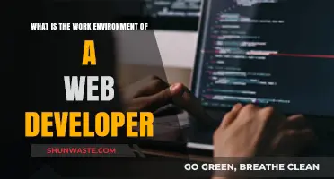 Exploring the Dynamic Work Environment of a Web Developer