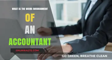 Exploring the Daily Work Environment of Accountants: Insights and Expectations