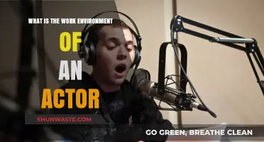 Exploring the Dynamic and Varied Work Environment of an Actor