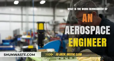 Exploring the Dynamic Work Environment of Aerospace Engineers