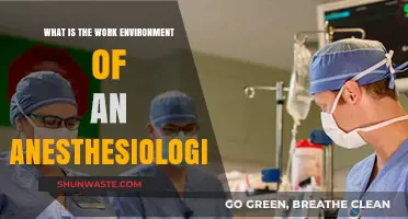 Exploring the Fast-Paced, High-Stress Work Environment of Anesthesiologists