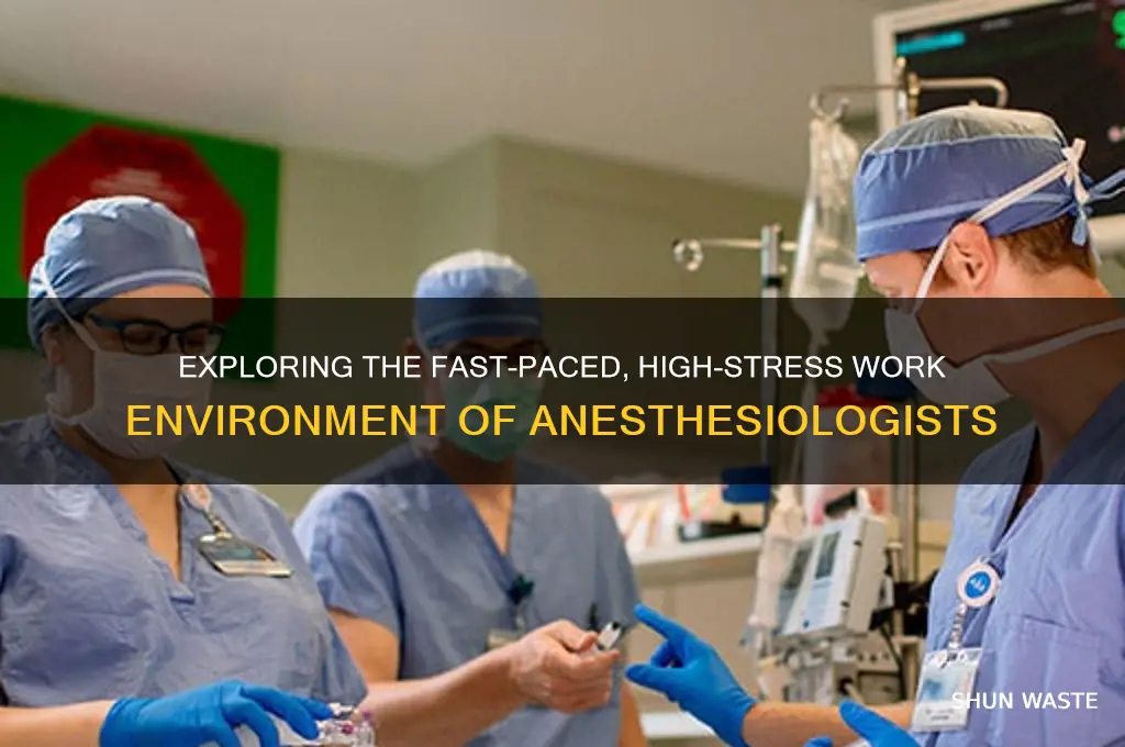 what is the work environment of an anesthesiologist