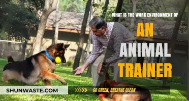 Exploring the Dynamic Work Environment of an Animal Trainer