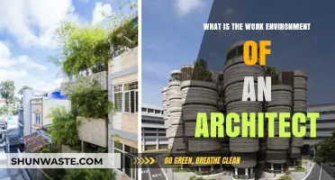 Exploring the Creative and Collaborative Work Environment of Architects