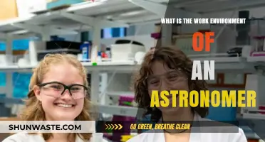 Exploring the Work Environment of Astronomers: Challenges and Rewards