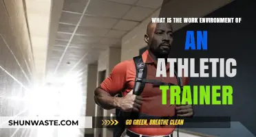 Exploring the Dynamic Work Environment of Athletic Trainers