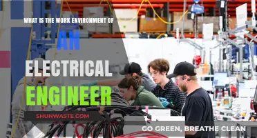 Exploring the Dynamic Work Environment of Electrical Engineers